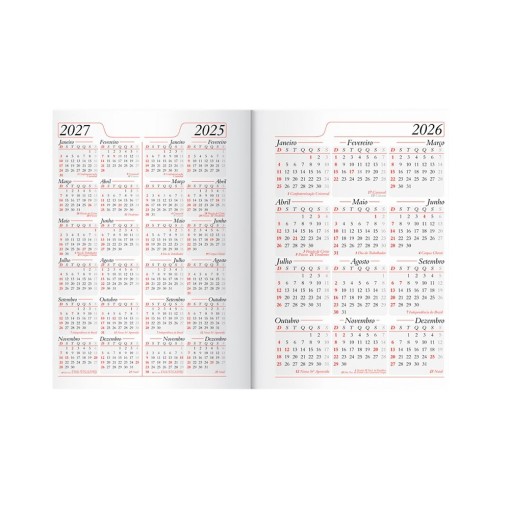 Agenda Diária 2026 Personalizada